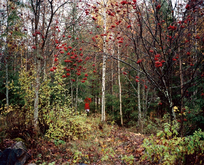 Autumn, 2007